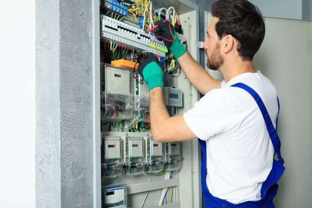 Best Electric Panel Repair  in Greensboro, GA